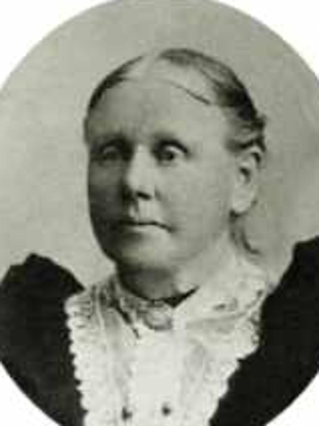 Mary Wilkinson (1842 - 1928) Profile